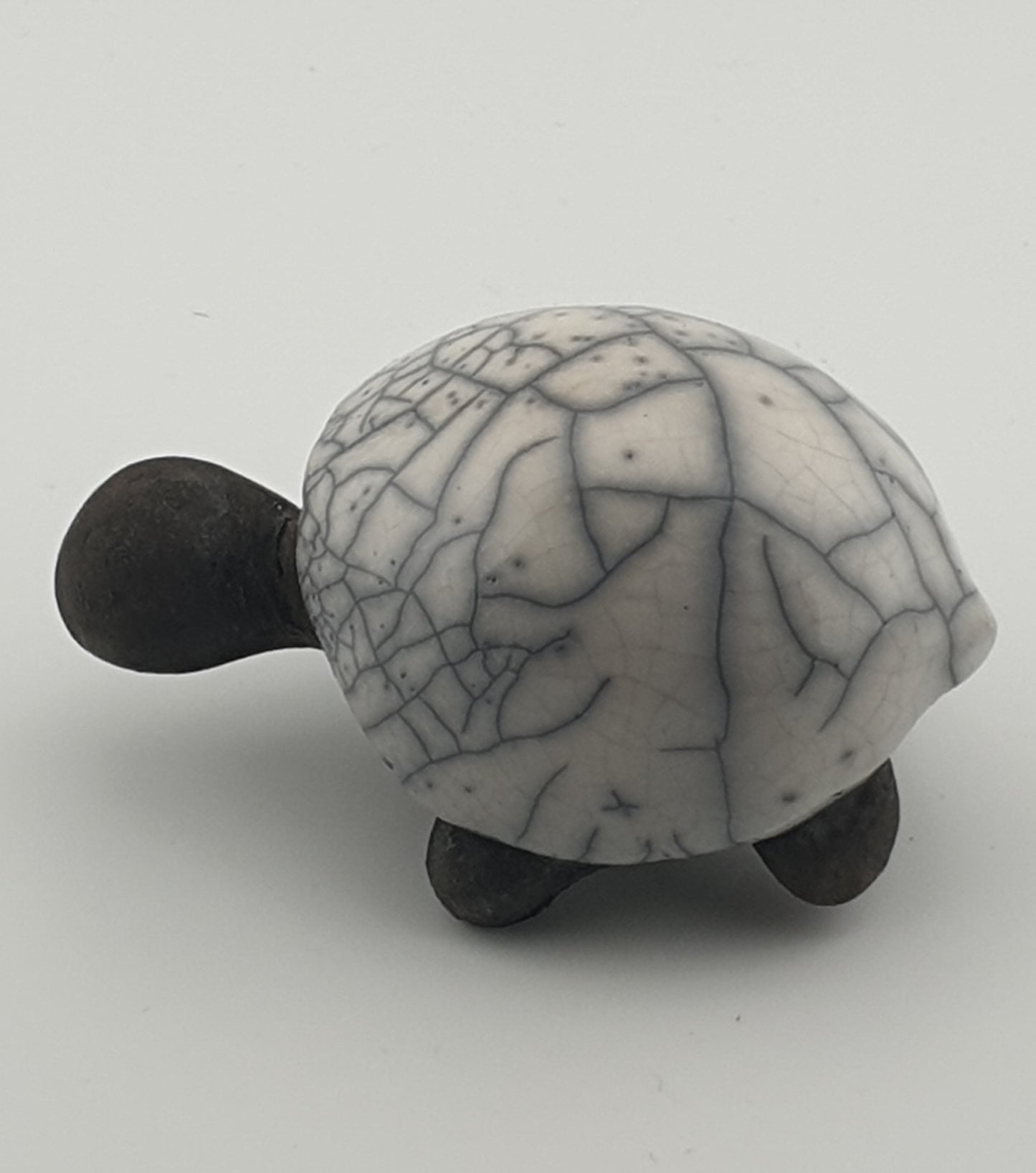 Tortue raku