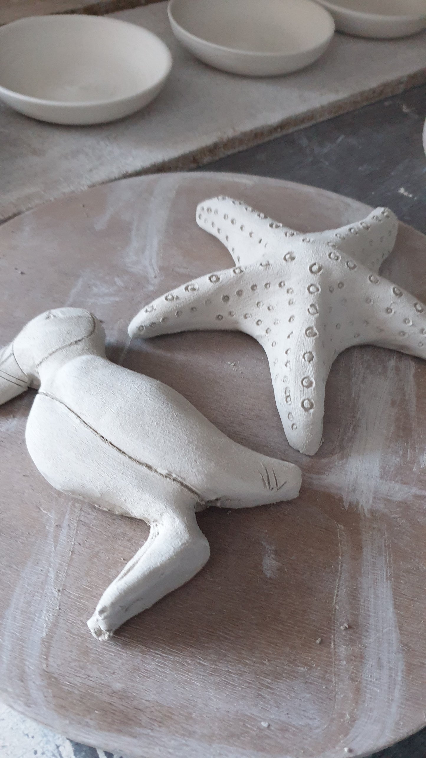 Macareux moine / Tableau raku sur bois flotté