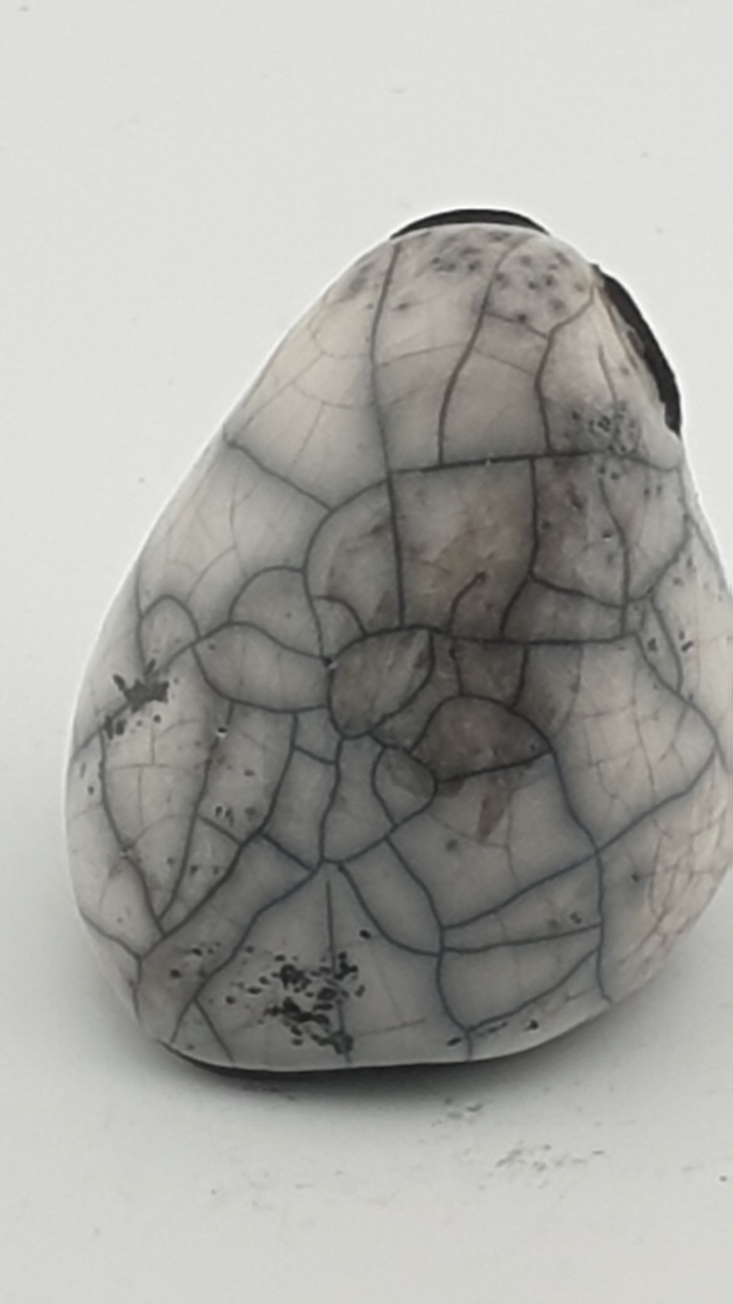 Chouette raku