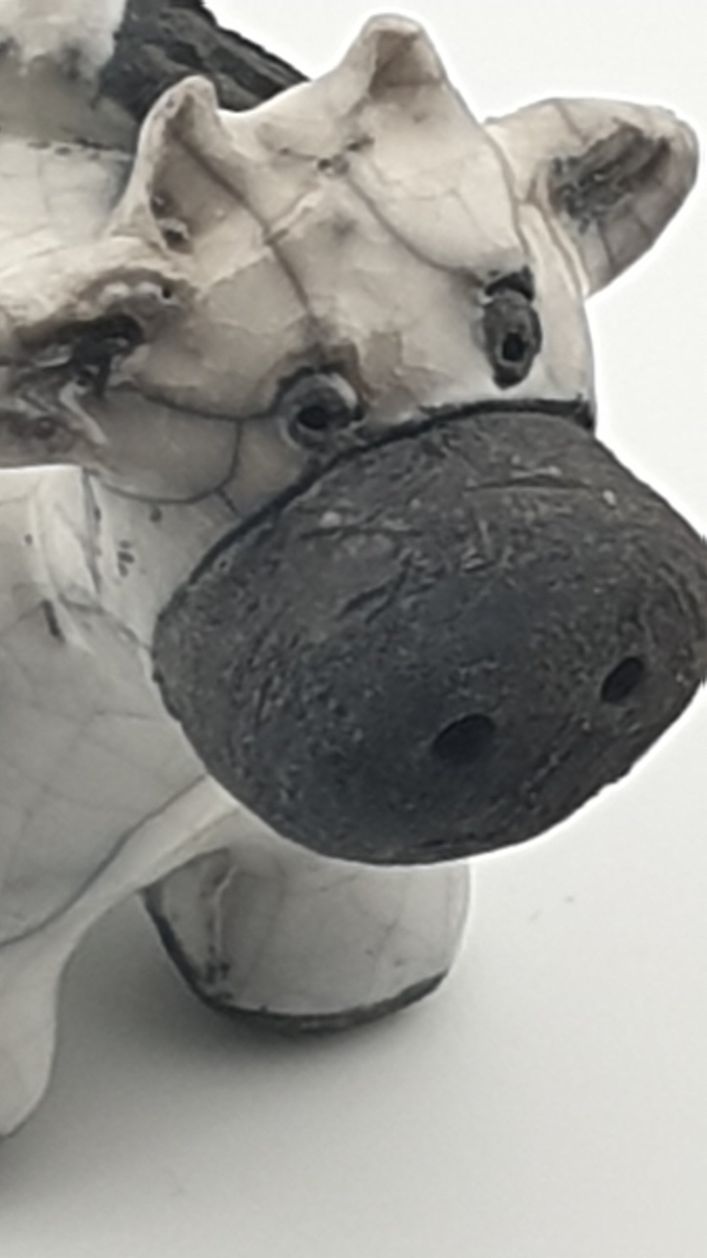 Vache raku