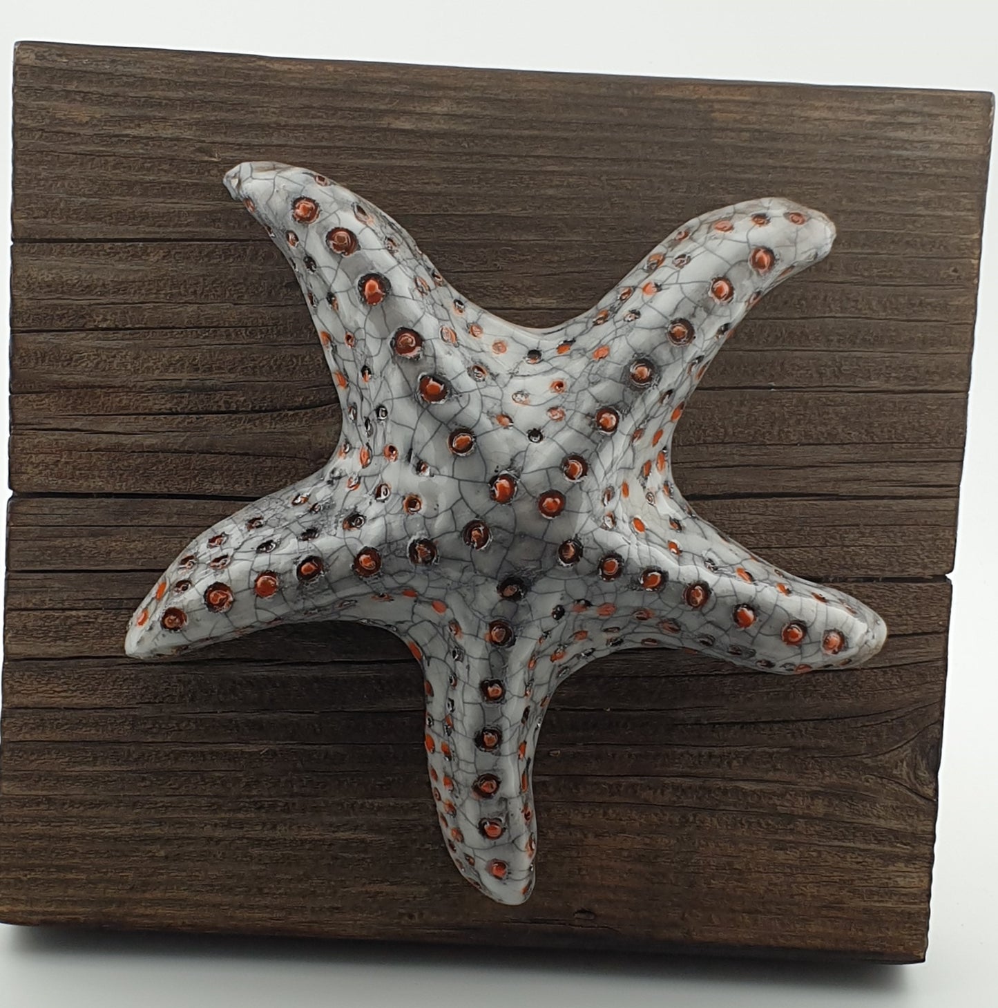 Étoile de mer / Tableau raku sur bois flotté