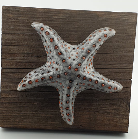 Étoile de mer / Tableau raku sur bois flotté